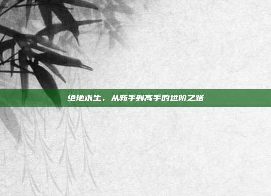 绝地求生,从新手到高手的进阶之路