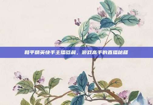 和平精英快手主播晗晨,游戏高手的直播秘籍
