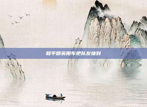 和平精英用车把队友撞到