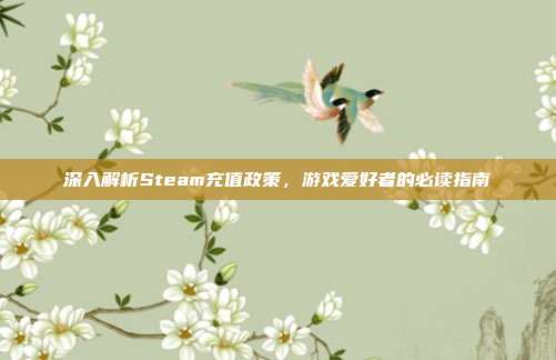 深入解析Steam充值政策,游戏爱好者的必读指南