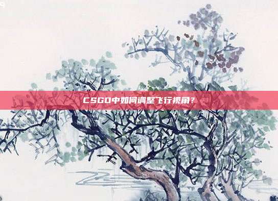 CSGO中如何调整飞行视角?