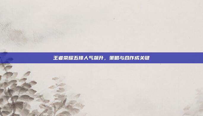王者荣耀五排人气飙升,策略与合作成关键