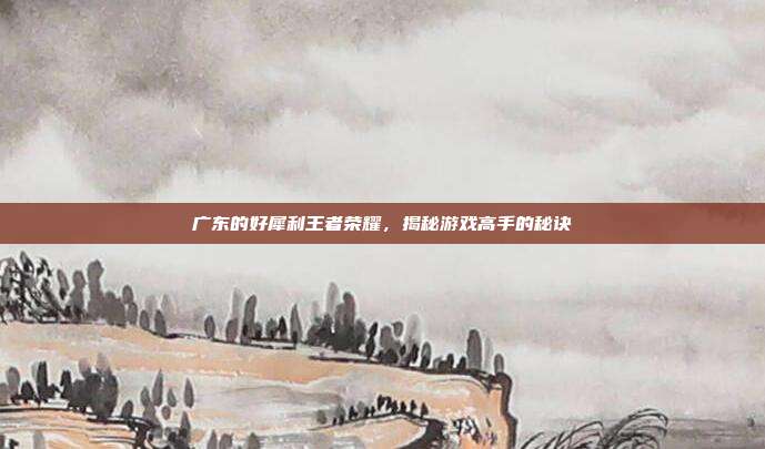 广东的好犀利王者荣耀,揭秘游戏高手的秘诀