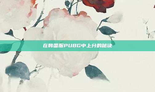 在韩国服PUBG中上分的秘诀