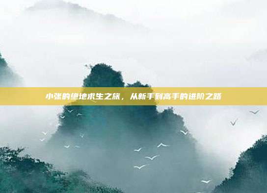 小张的绝地求生之旅,从新手到高手的进阶之路