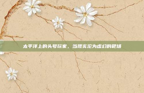 太平洋上的头号玩家，当现实沦为虚幻的靶场