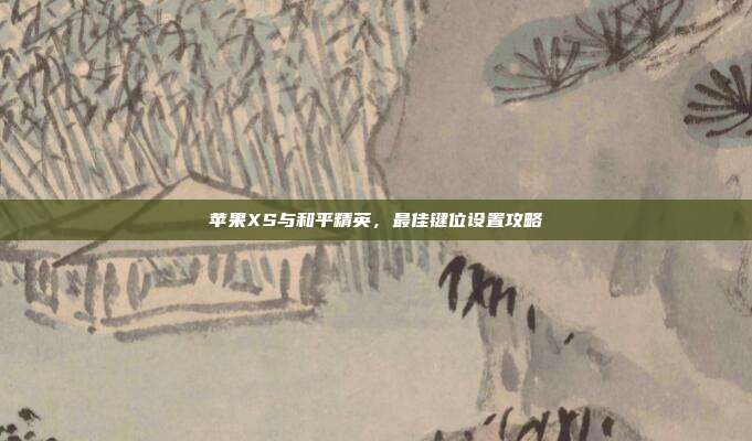 苹果XS与和平精英，最佳键位设置攻略