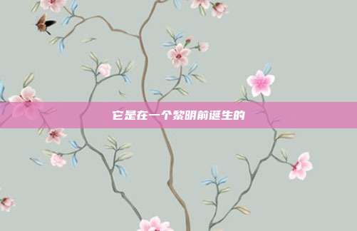 它是在一个黎明前诞生的