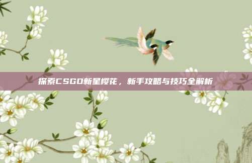 探索CSGO新星樱花,新手攻略与技巧全解析
