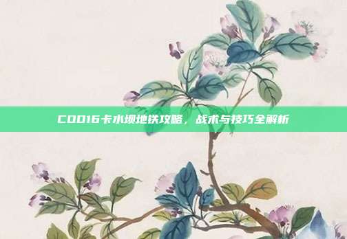 COD16卡水坝地铁攻略，战术与技巧全解析