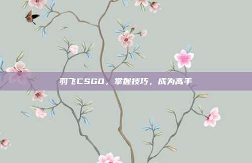 羽飞CSGO，掌握技巧，成为高手