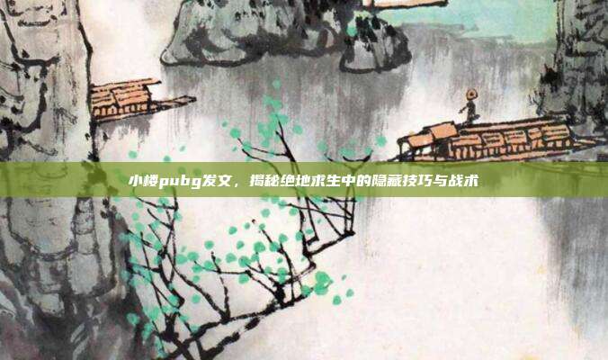 小楼pubg发文，揭秘绝地求生中的隐藏技巧与战术