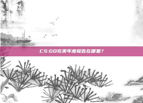 CS:GO完美年度报告在哪里?