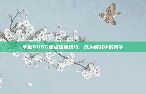 掌握PUBG连点压枪技巧,成为游戏中的高手