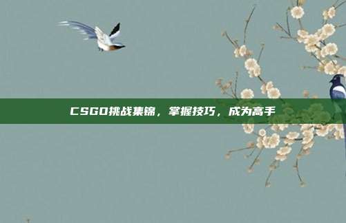 CSGO挑战集锦,掌握技巧,成为高手
