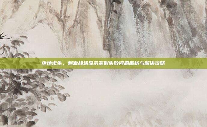绝地求生,刺激战场显示鉴别失败问题解析与解决攻略