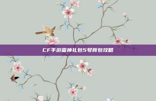 CF手游雷神礼包5号背包攻略