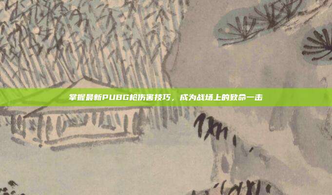 掌握最新PUBG枪伤害技巧,成为战场上的致命一击