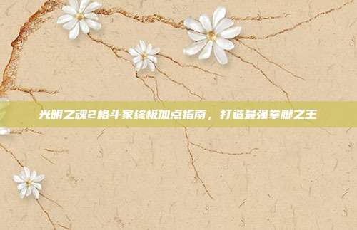 光明之魂2格斗家终极加点指南，打造最强拳脚之王