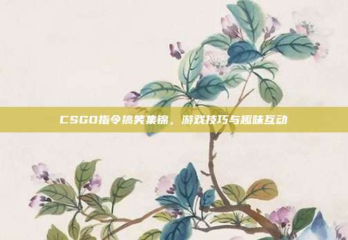 CSGO指令搞笑集锦,游戏技巧与趣味互动