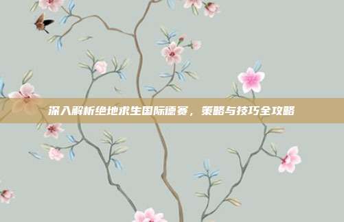 深入解析绝地求生国际德赛,策略与技巧全攻略