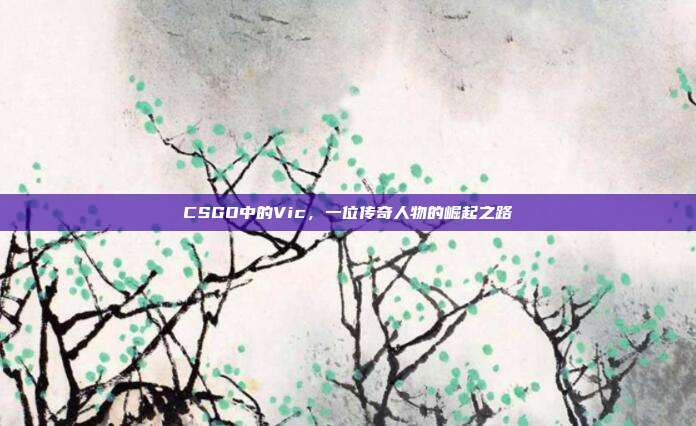 CSGO中的Vic,一位传奇人物的崛起之路