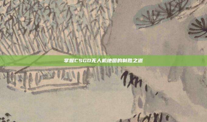 掌握CSGO无人机地图的制胜之道