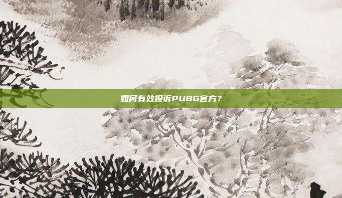 如何有效投诉PUBG官方?