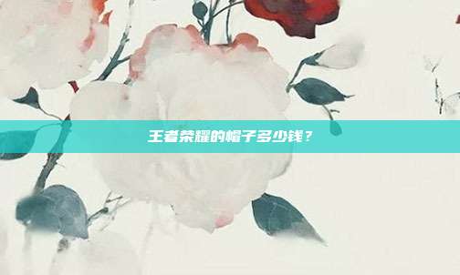 王者荣耀的帽子多少钱?