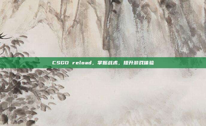 CSGO reload,掌握战术,提升游戏体验