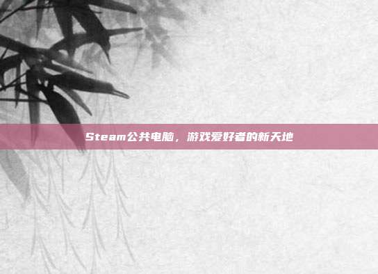Steam公共电脑,游戏爱好者的新天地