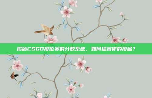 揭秘CSGO排位赛的分数系统,如何提高你的排名?