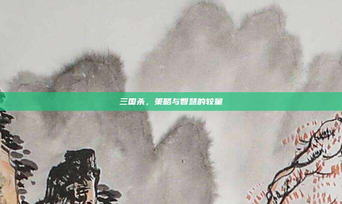 三国杀,策略与智慧的较量