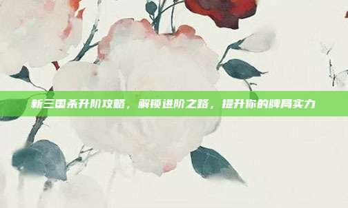 新三国杀升阶攻略,解锁进阶之路,提升你的牌局实力