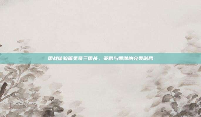 国战体验篇吴景三国杀,策略与智谋的完美融合