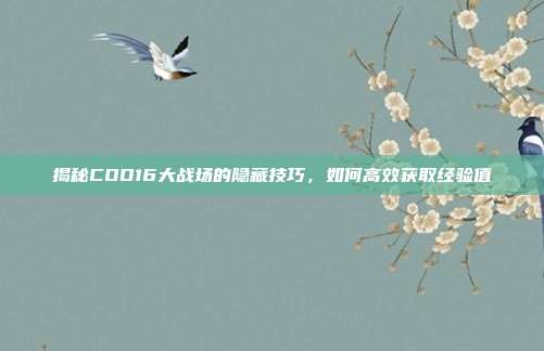 揭秘COD16大战场的隐藏技巧,如何高效获取经验值