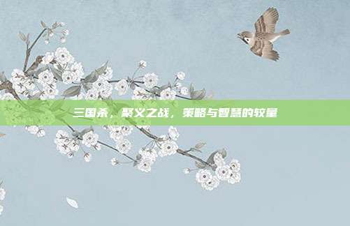 三国杀,聚义之战,策略与智慧的较量