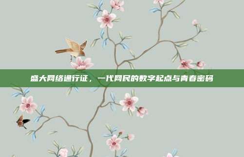 盛大网络通行证,一代网民的数字起点与青春密码