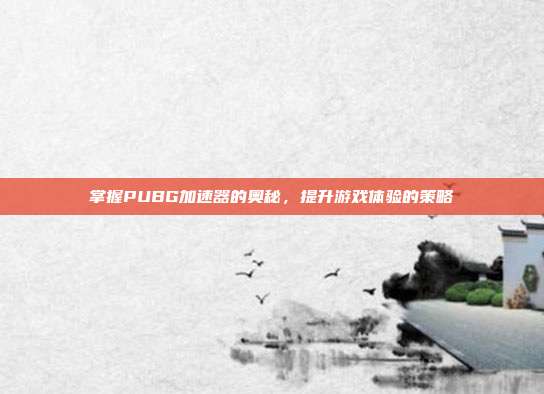 掌握PUBG加速器的奥秘,提升游戏体验的策略
