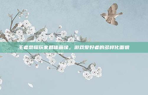 王者荣耀玩家群体画像,游戏爱好者的多样化面貌