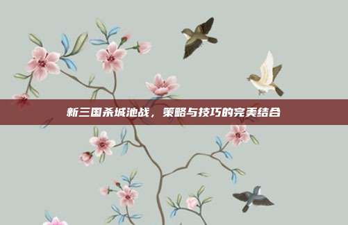 新三国杀城池战,策略与技巧的完美结合