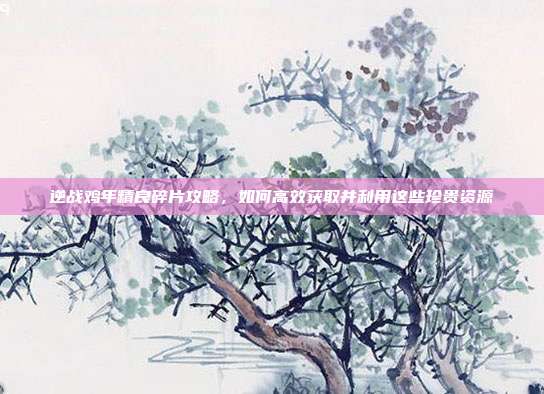 逆战鸡年精良碎片攻略,如何高效获取并利用这些珍贵资源