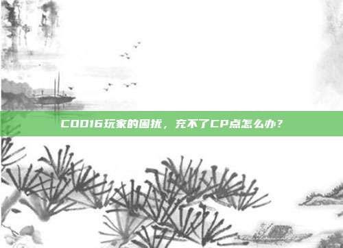 COD16玩家的困扰,充不了CP点怎么办?