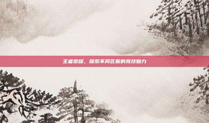 王者荣耀,探索不同区服的竞技魅力