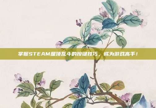 掌握STEAM屋顶乱斗的按键技巧,成为游戏高手!