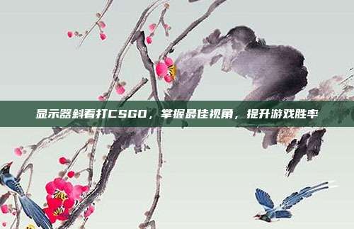 显示器斜着打CSGO,掌握最佳视角,提升游戏胜率