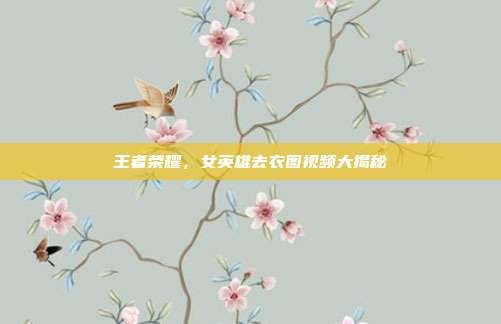 王者荣耀，女英雄去衣图视频大揭秘