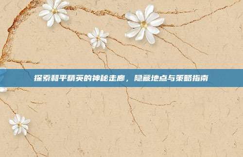 探索和平精英的神秘走廊,隐藏地点与策略指南