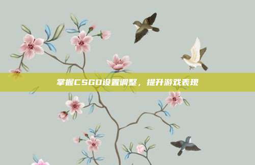 掌握CSGO设置调整,提升游戏表现