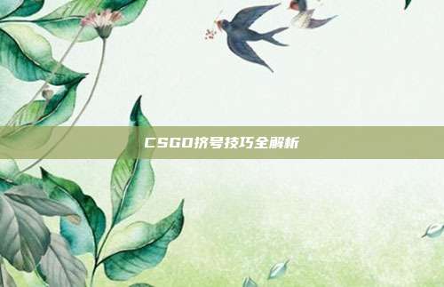 CSGO挤号技巧全解析
